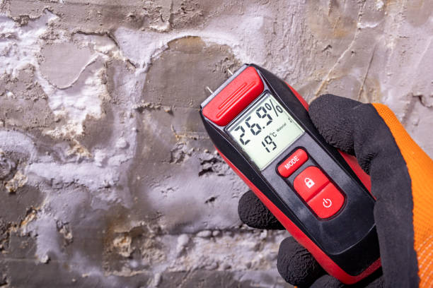 Mold Testing and Removal in Cole Camp, MO