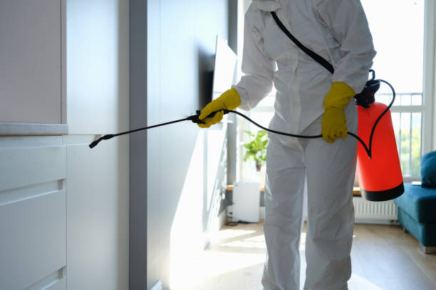 Certified Mold Removal in Cole Camp, MO